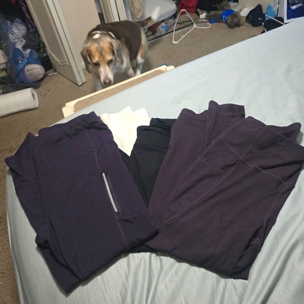 XXL legging lot